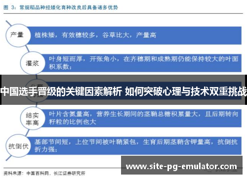中国选手晋级的关键因素解析 如何突破心理与技术双重挑战