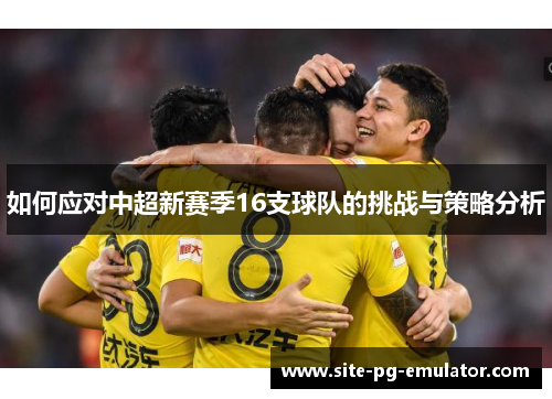 如何应对中超新赛季16支球队的挑战与策略分析