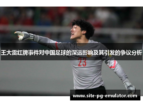 王大雷红牌事件对中国足球的深远影响及其引发的争议分析