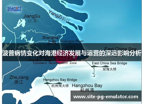 波普病情变化对海港经济发展与运营的深远影响分析