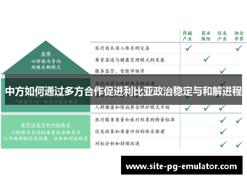 中方如何通过多方合作促进利比亚政治稳定与和解进程