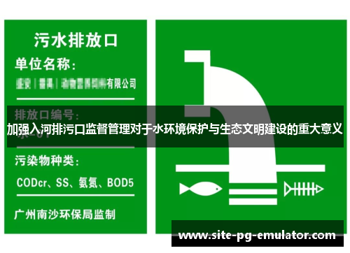 加强入河排污口监督管理对于水环境保护与生态文明建设的重大意义