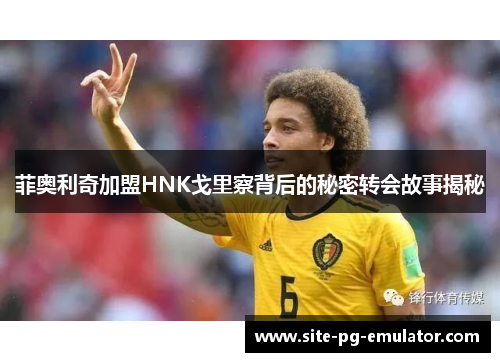 菲奥利奇加盟HNK戈里察背后的秘密转会故事揭秘
