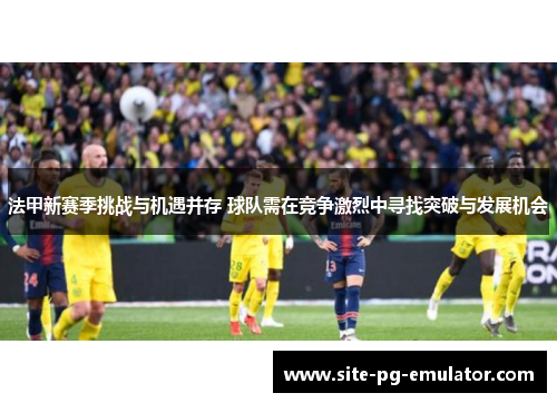 法甲新赛季挑战与机遇并存 球队需在竞争激烈中寻找突破与发展机会