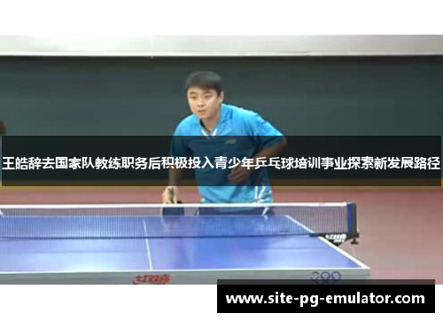 王皓辞去国家队教练职务后积极投入青少年乒乓球培训事业探索新发展路径