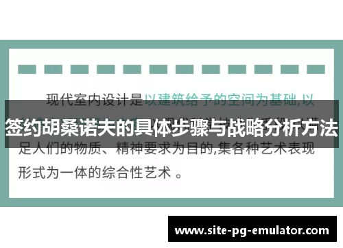 签约胡桑诺夫的具体步骤与战略分析方法