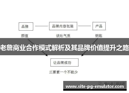 老詹商业合作模式解析及其品牌价值提升之路
